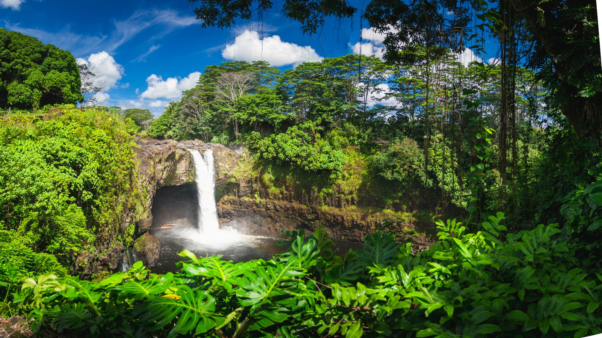 A remote Hawaiian waterfall in lush rainforest